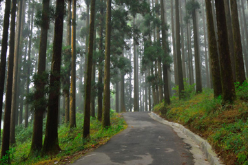 blog-1